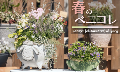 春のベニコレ特集 - 母の日・ガーデニング