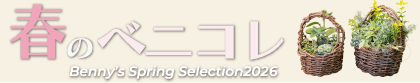 2026春のベニコレ 掲載商品一覧