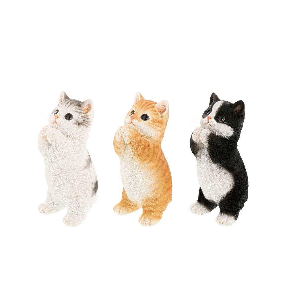 ベニーズキャット