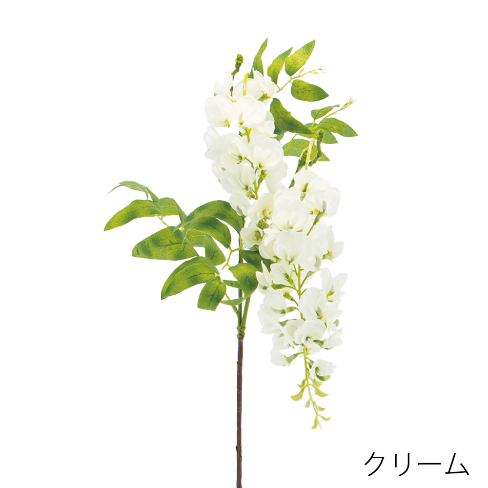 K-687-21　フジ（クリーム）