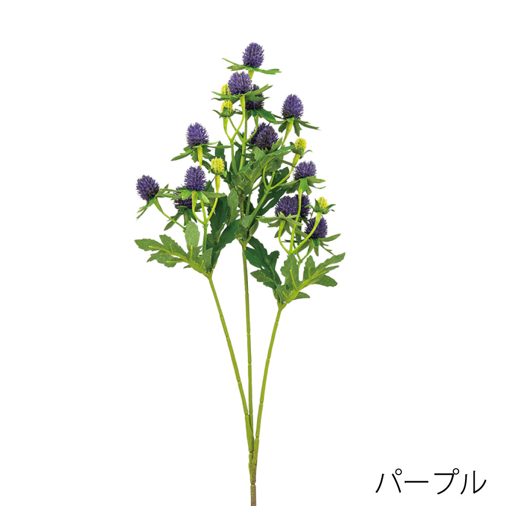 K-688-11　センニチコウ（パープル）