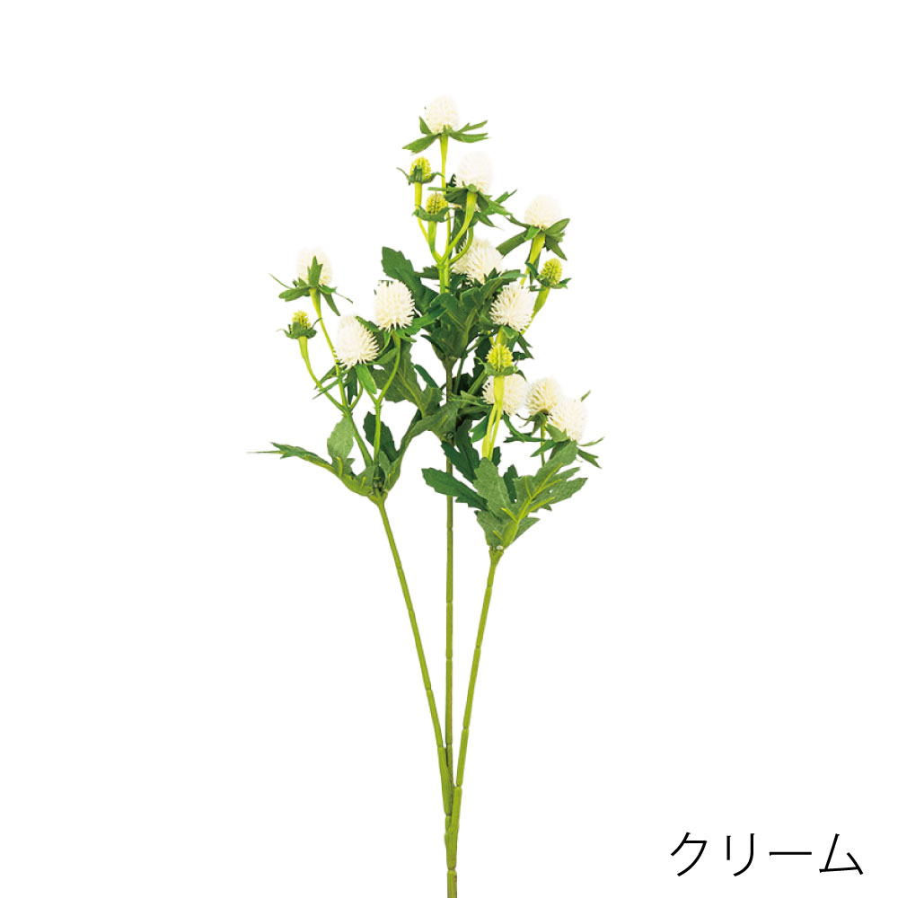 K-688-21　センニチコウ（クリーム）