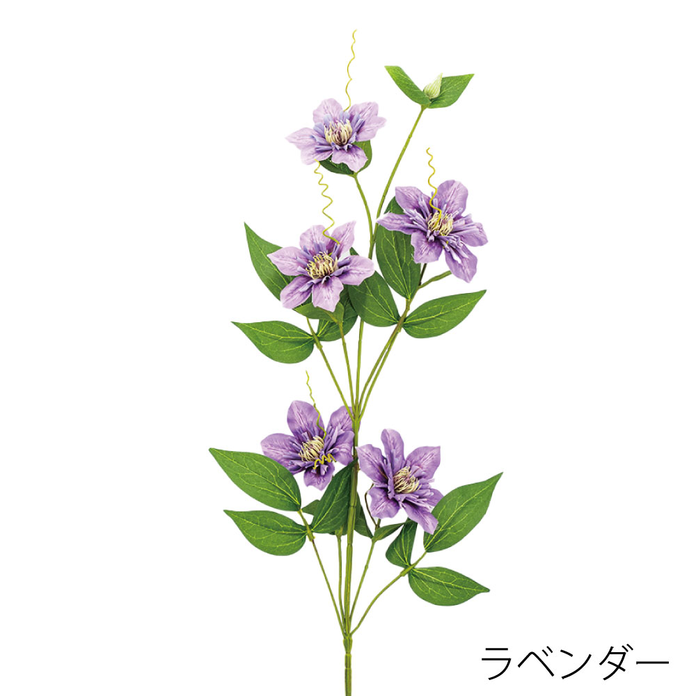 K-690-5　クレマチス（ラベンダー）
