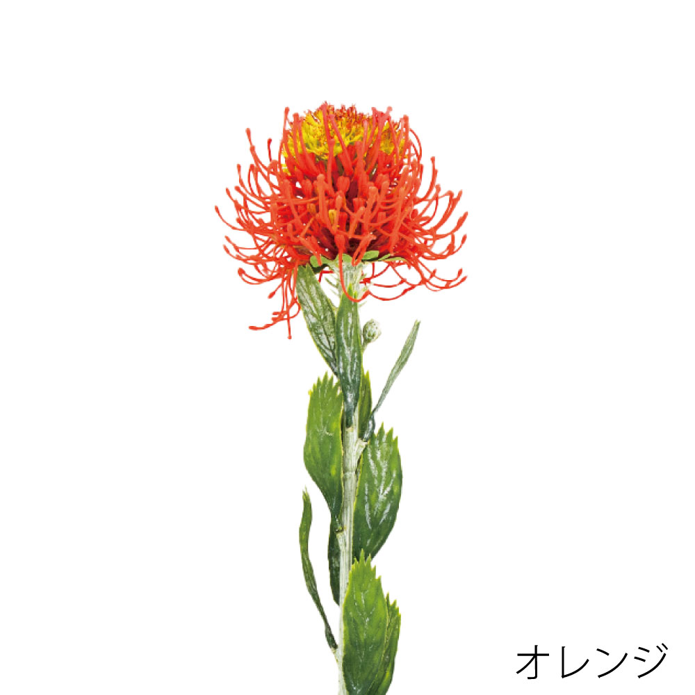 K-691-17　ピンクッション（オレンジ）
