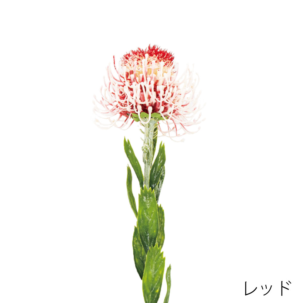 K-691-2　ピンクッション（レッド）
