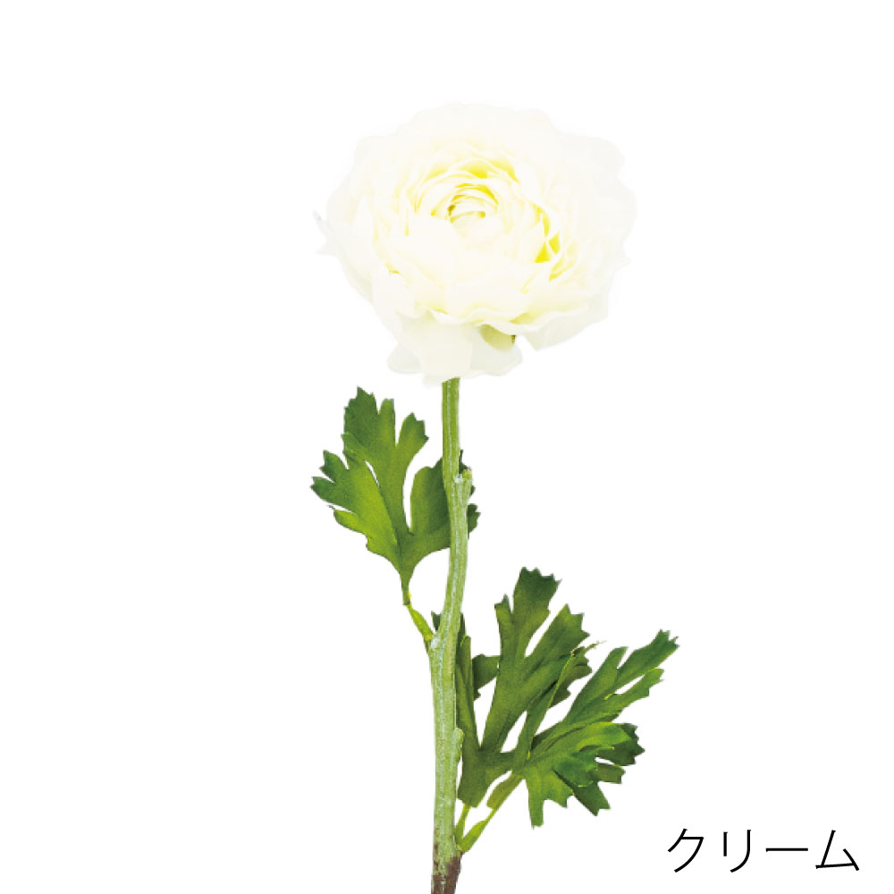 K-693-21　ラナンキュラス（クリーム）