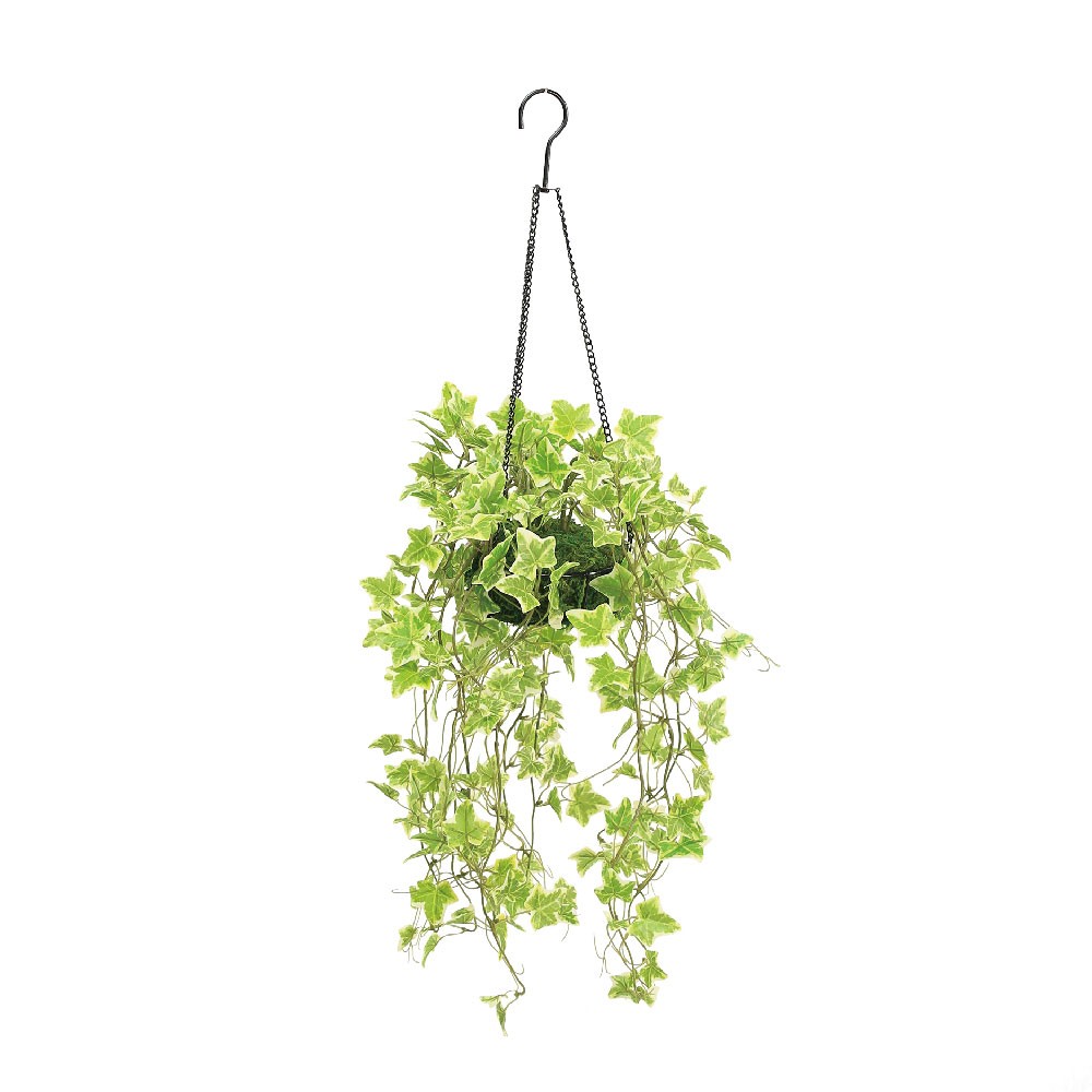 ｵﾗﾝﾀﾞｱｲﾋﾞｰﾊﾝｷﾞﾝｸﾞkg 6 フェイクグリーンの仕入れ 卸 インテリア輸入雑貨ガーデニング用品の卸仕入専門商社紅石 べにし