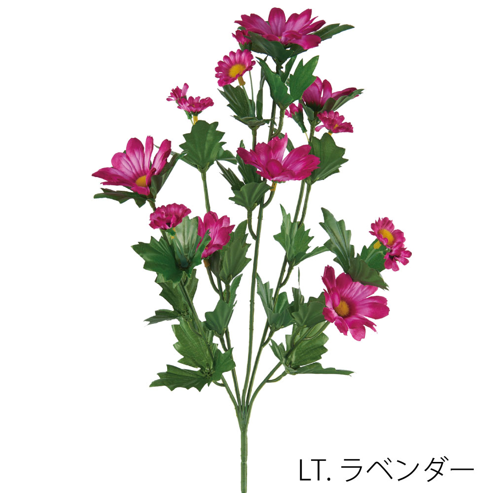 FA7024LL　デージーダイ（ライトタベンダー）