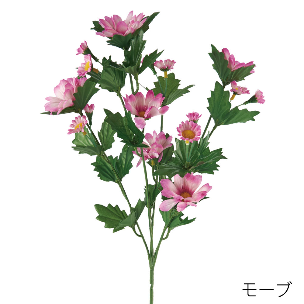 FA7024MAV　デージーダイ（モーブ）