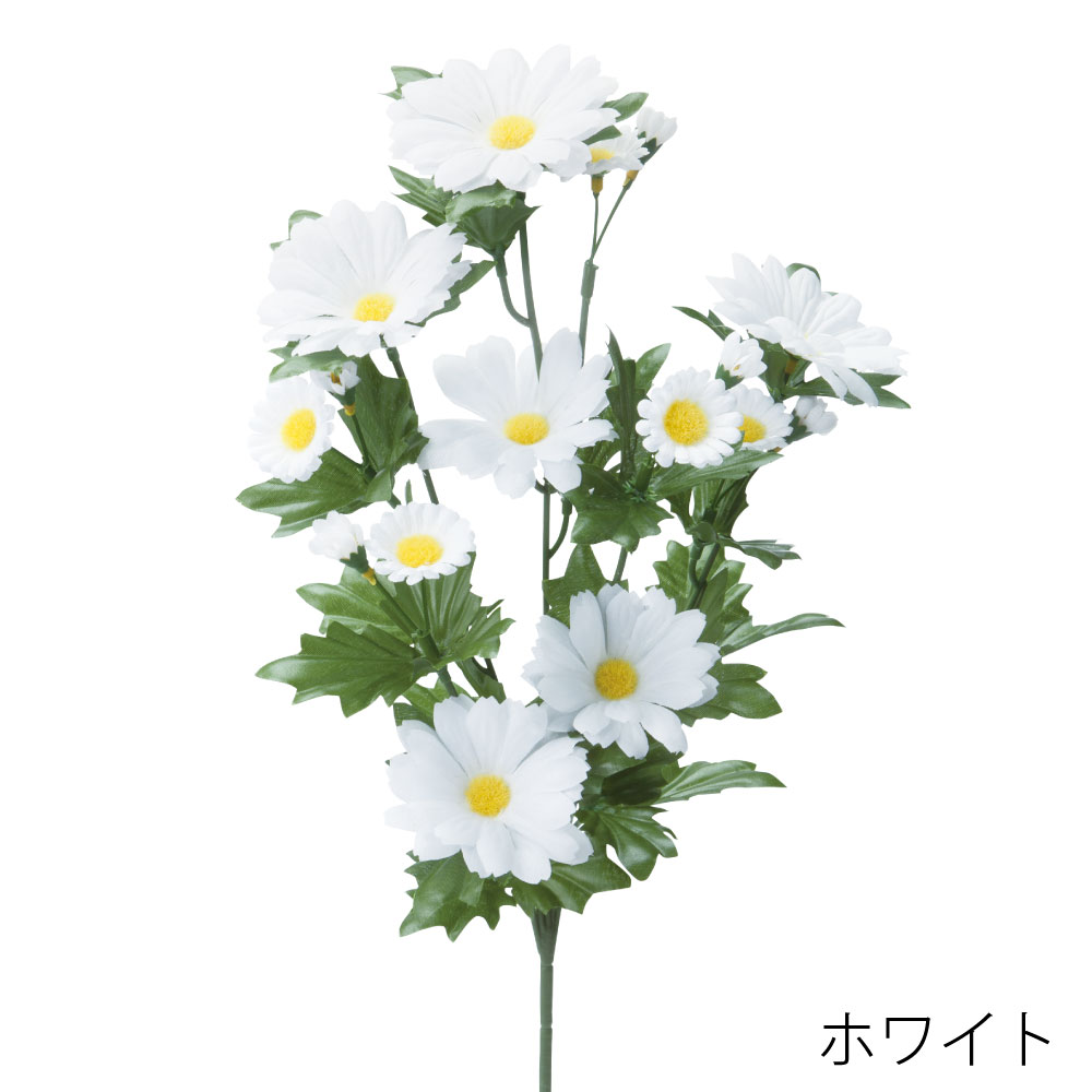 FA7024W　デージーダイ（ホワイト）