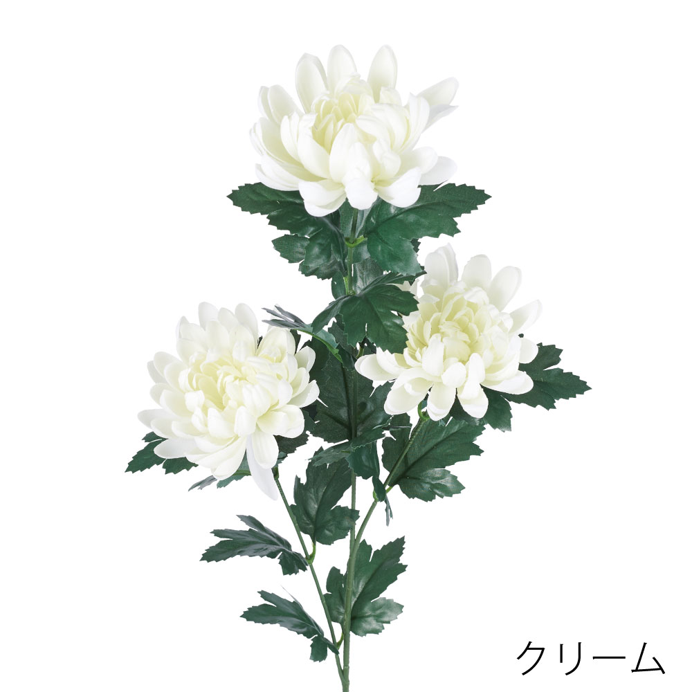 FA7315CR　マム（クリーム）