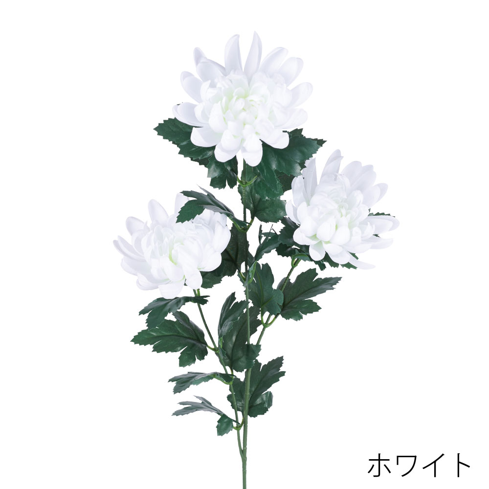 FA7315W　マム（ホワイト）