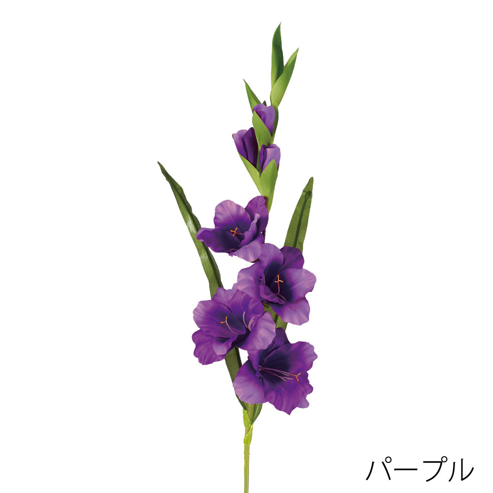 FA7316PU　サテングラジオラス（パープル）