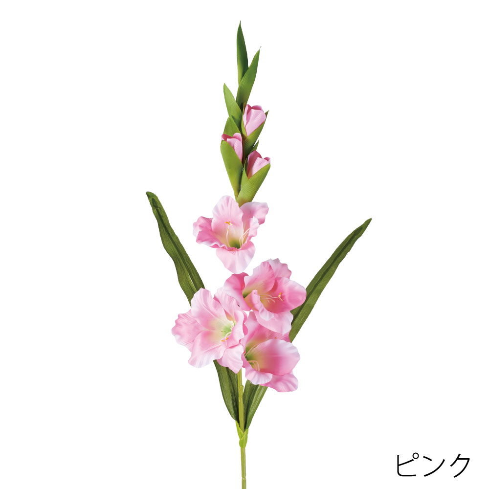 FA7316P　サテングラジオラス（ピンク）
