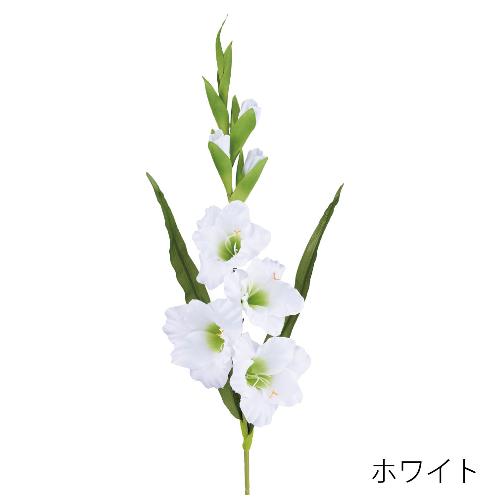 FA7316W　サテングラジオラス（ホワイト）