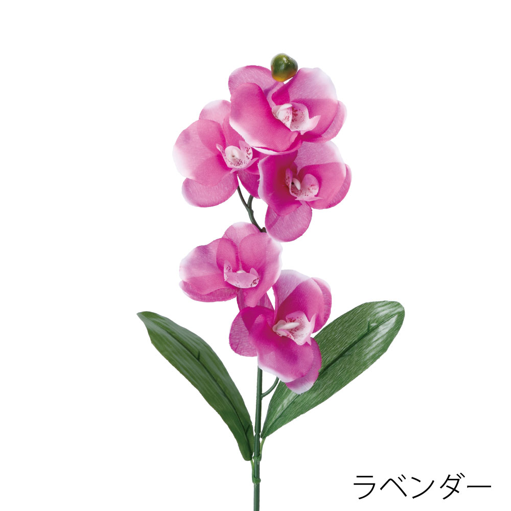 FF2913LAV　コチョウランリーフツキ（ラベンダー）