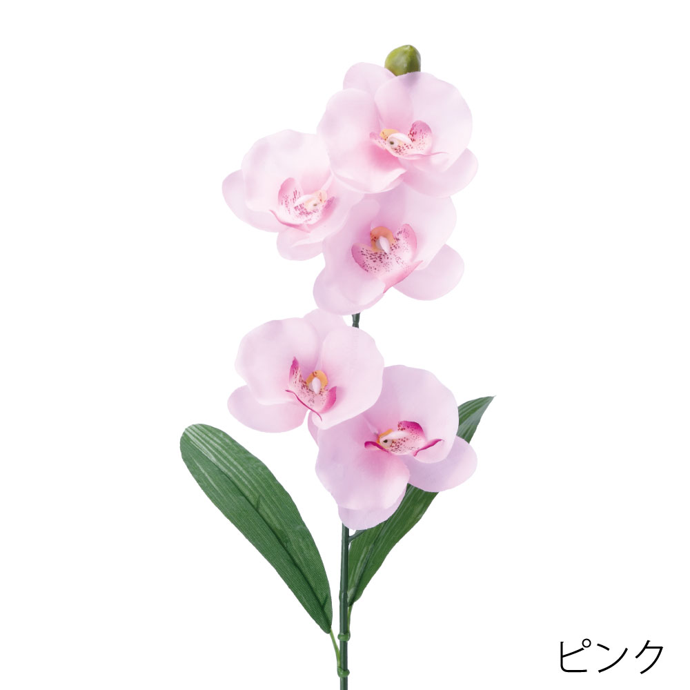 FF2913P　コチョウランリーフツキ（ピンク）