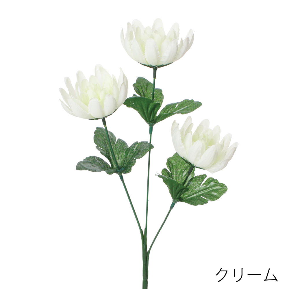 FF3037CR　マム×3（クリーム）