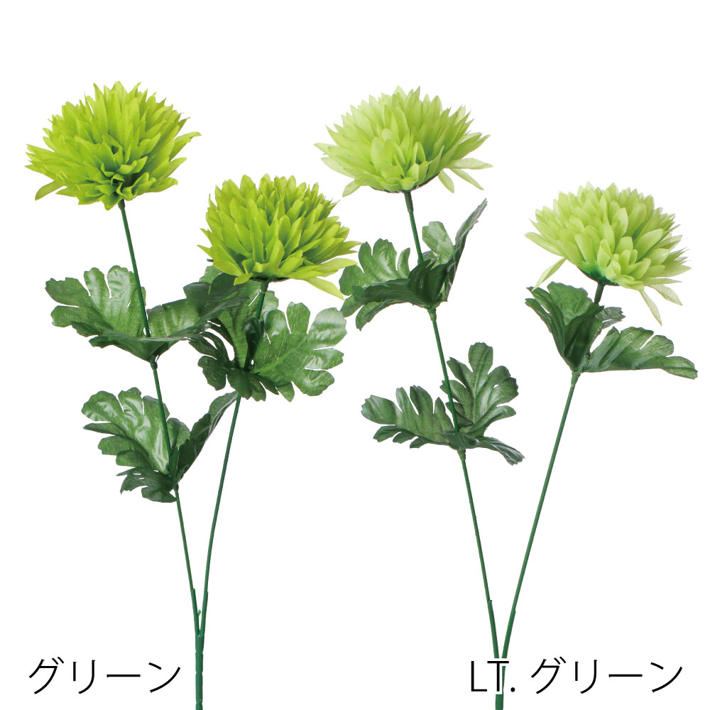 ボールマム×2　FF3041GR（ｸﾞﾘｰﾝ） / FF3041LGR（ﾗｲﾄｸﾞﾘｰﾝ）