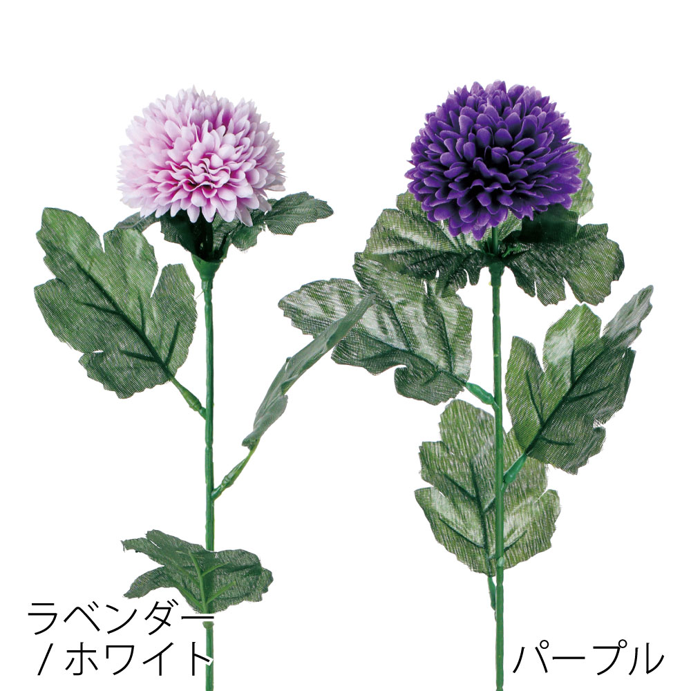 シングルピンポンマム　FF3042LW（ﾗﾍﾞﾝﾀﾞｰ / ﾎﾜｲﾄ） / FF3042PU（パープル）