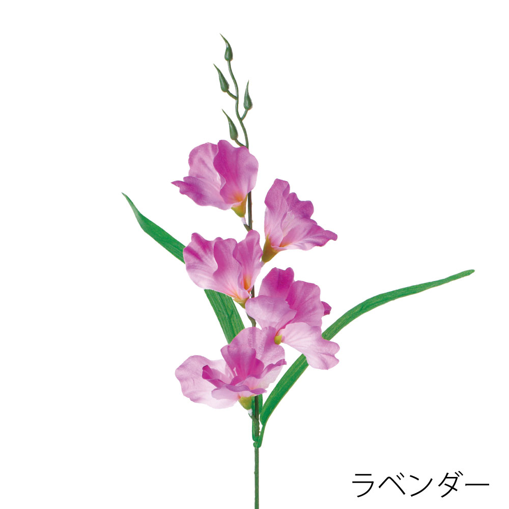 FF3044LAV　グラジオラス（ラベンダー）