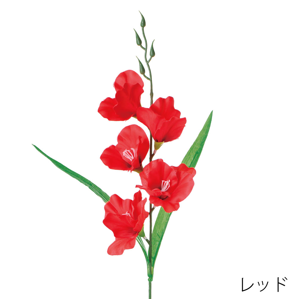 FF3044R　グラジオラス（レッド）