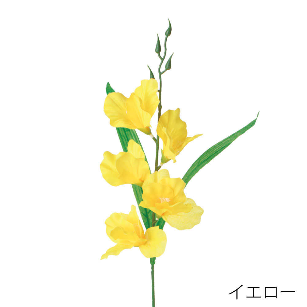 FF3044Y　グラジオラス（イエロー）