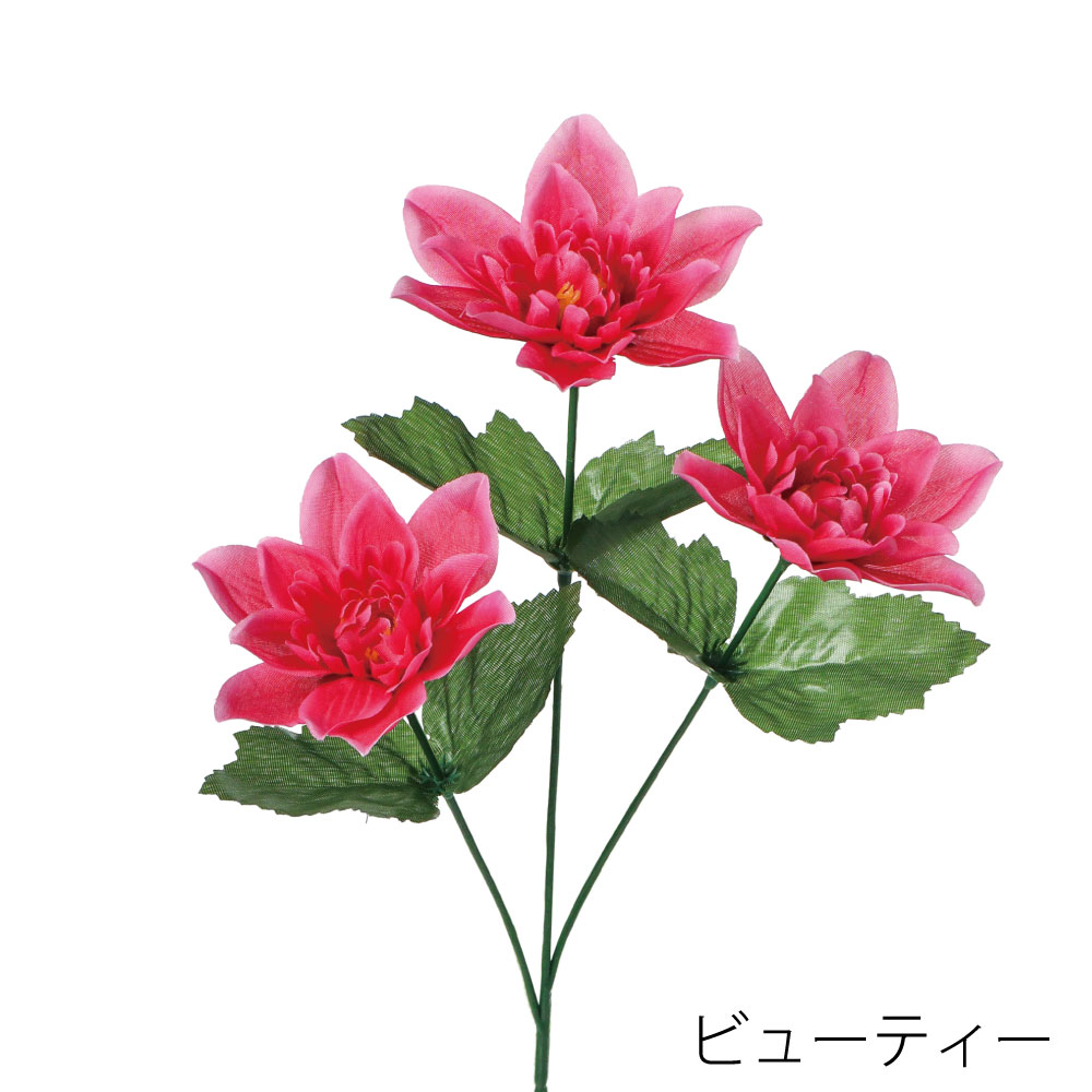 FF3045BTY　ダリア×3（ビューティー）