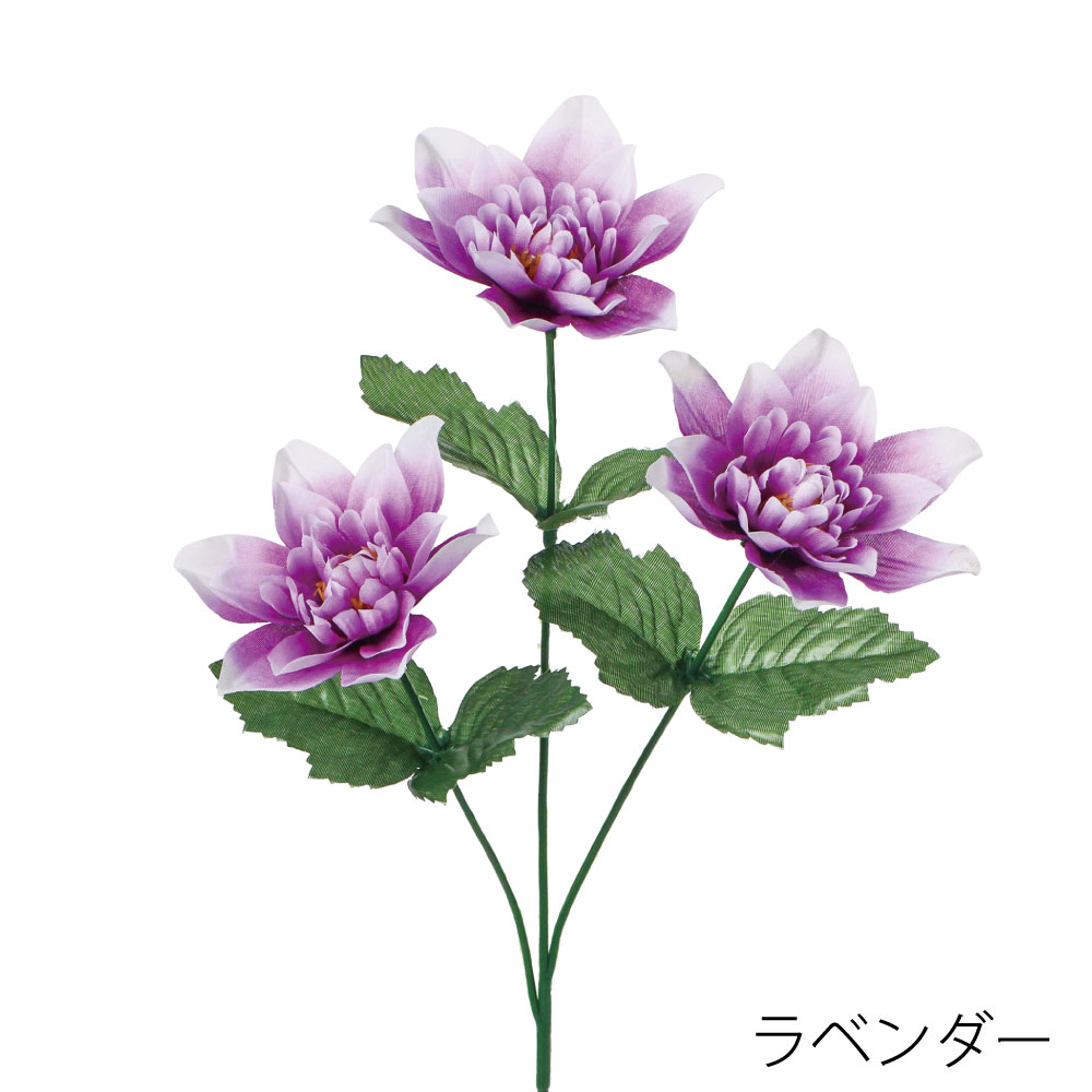 FF3045LAV　ダリア×3（ラベンダー）