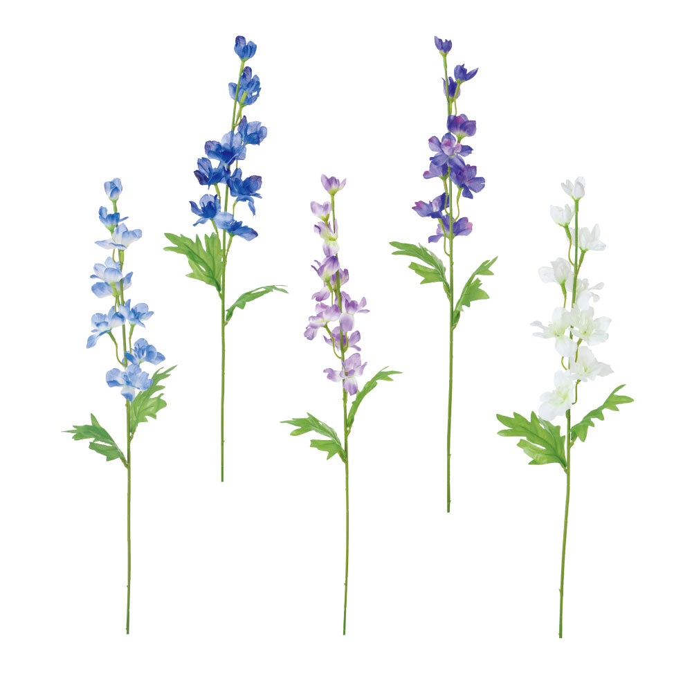 デルフィニウム