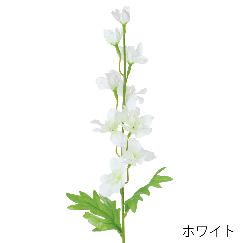 FF3047W　デルフィニウム（ホワイト）