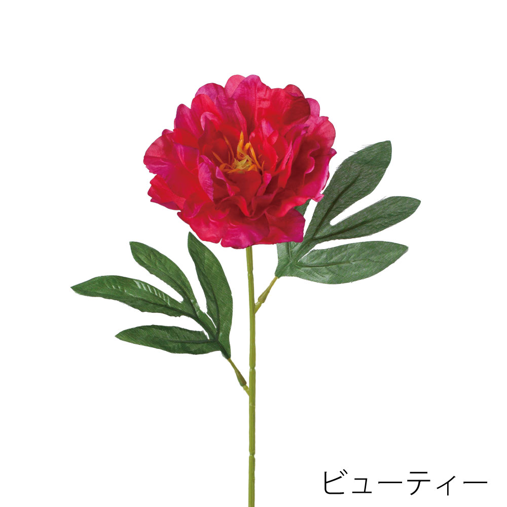 FF3048BTY　シングルピオニー（ビューティー）