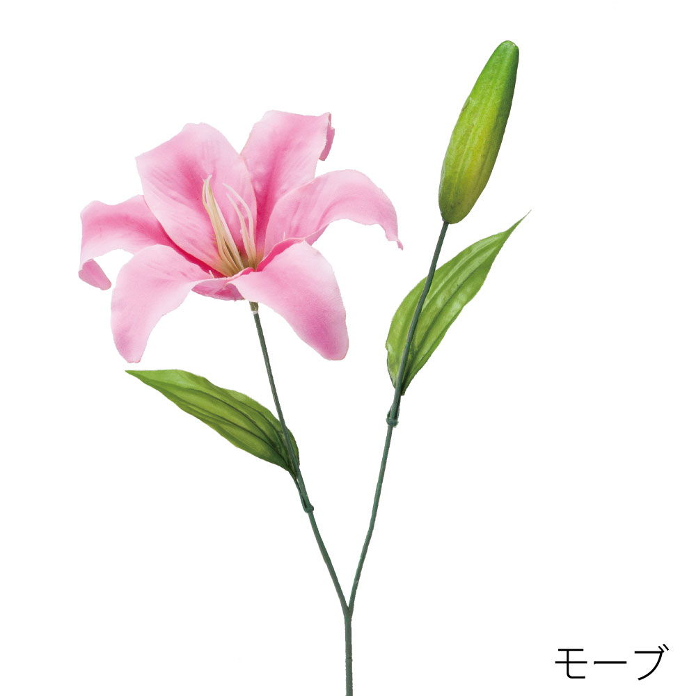 FF3054MAV　デルフィニウム（モーブ）