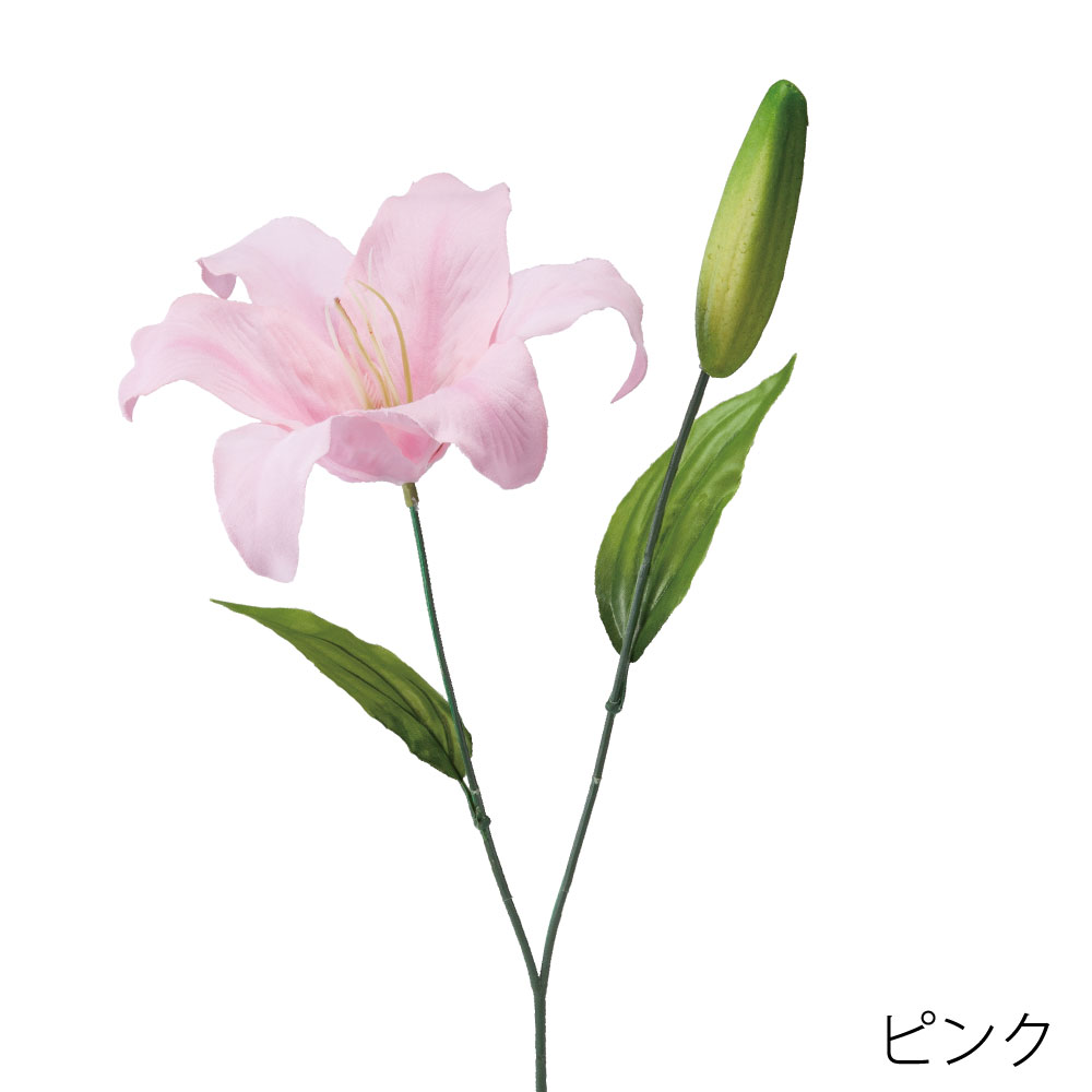 FF3054P　デルフィニウム（ピンク）