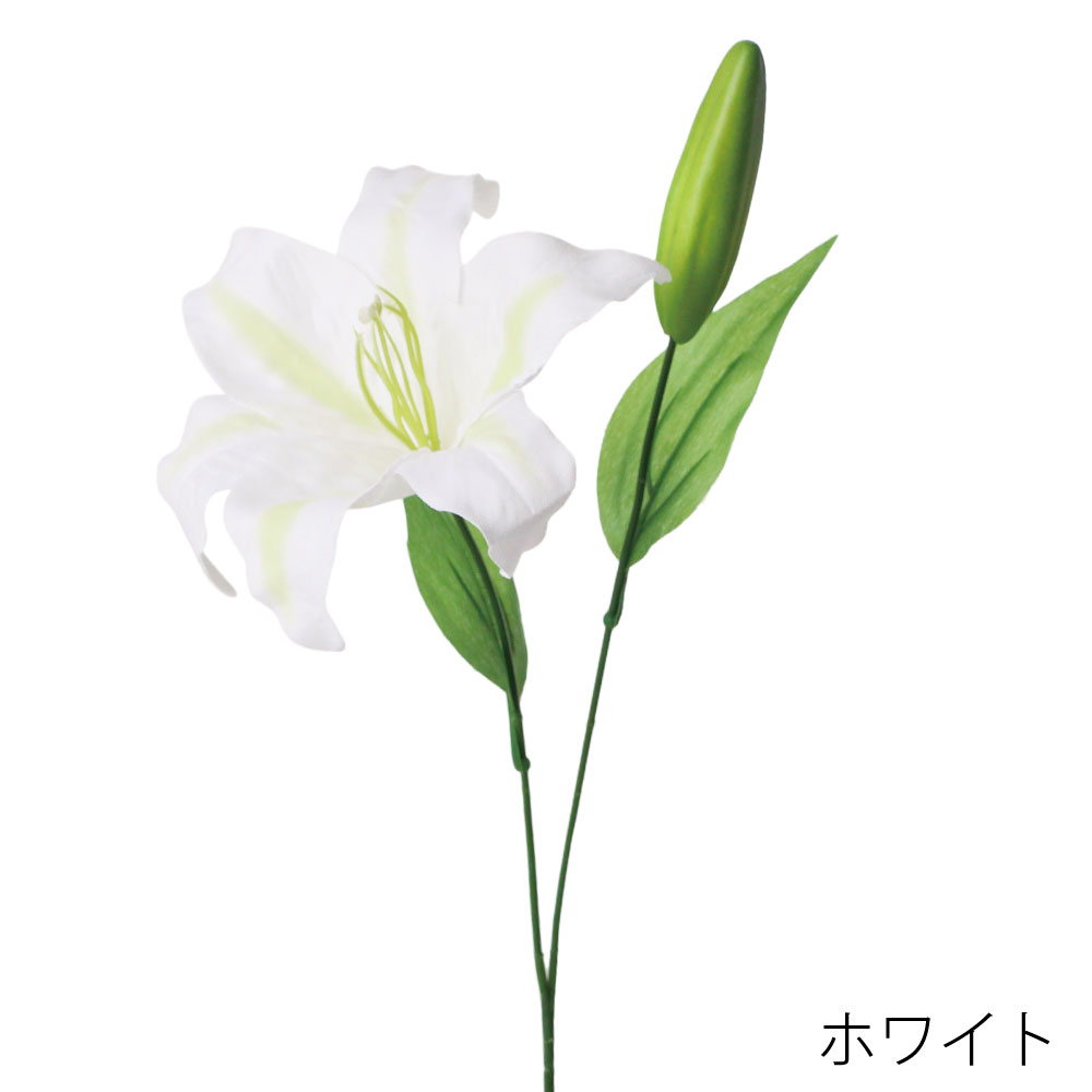 FF3054W　デルフィニウム（ホワイト）