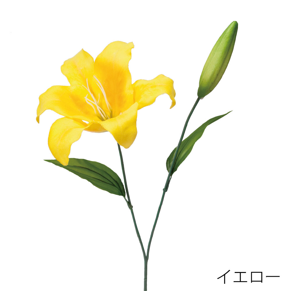 FF3054Y　デルフィニウム（イエロー）