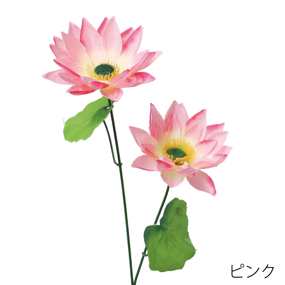 FF3060P　ロータス×2（ピンク）