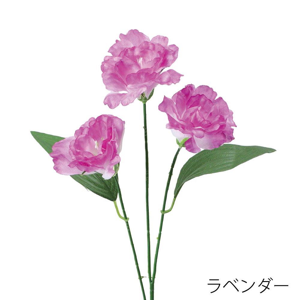 FF3090LAV　フリルトルコキキョウ（ラベンダー）