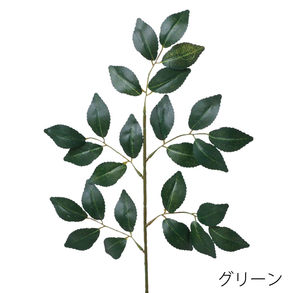 FG5232GR　シバ
