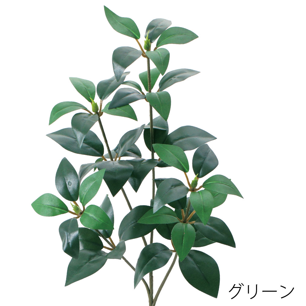 FG5324GR　シキビM