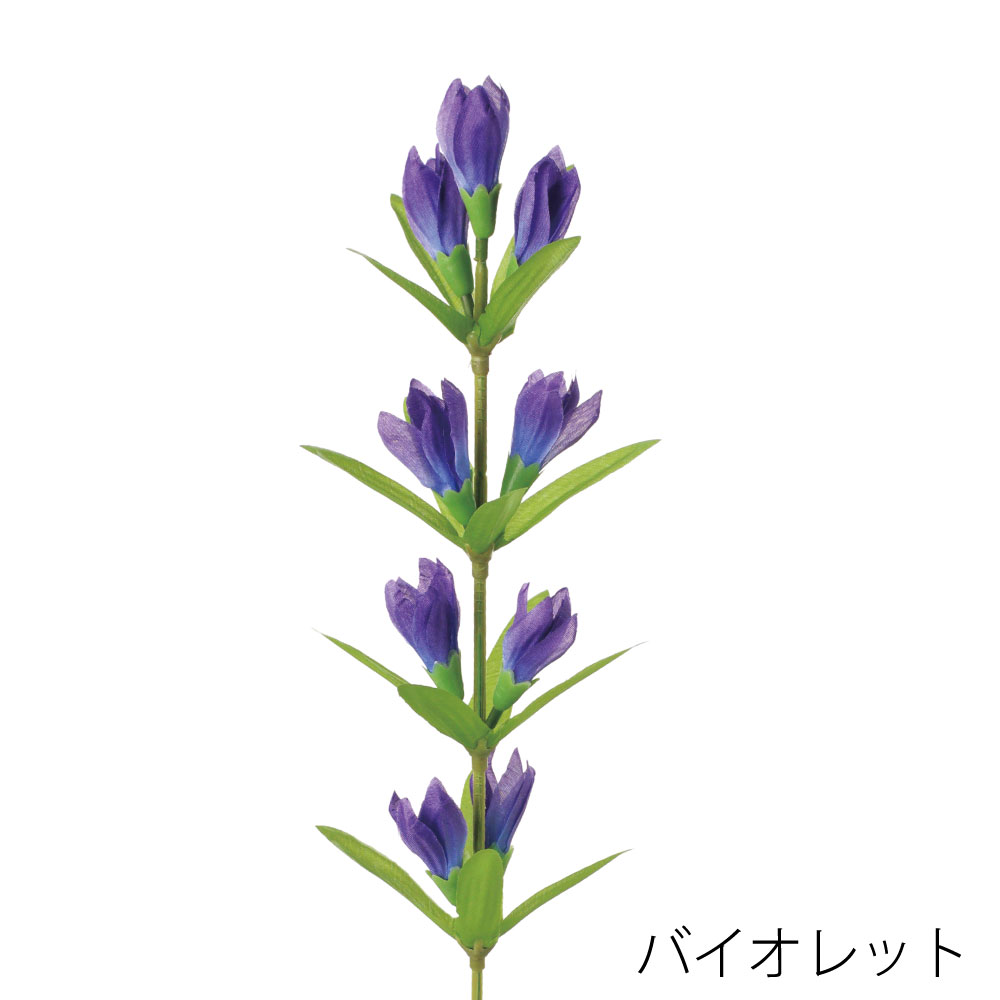 FS8358VIO　リンドウ（バイオレット）