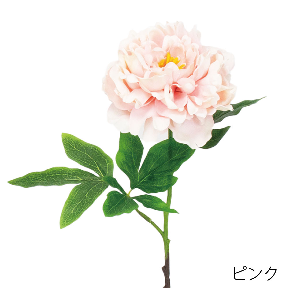 V24162P　オリエンタルピオニー（ピンク）