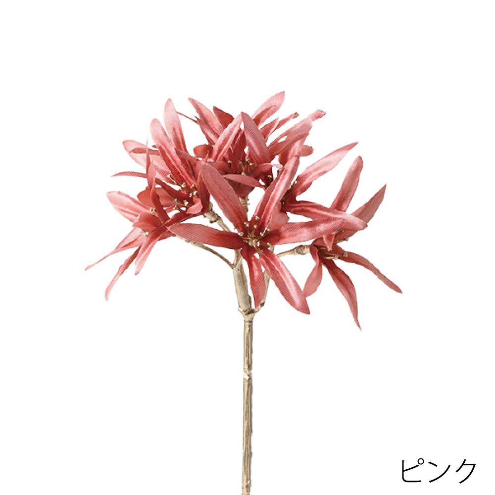 P8402-30　ツィーディア（ピンク）