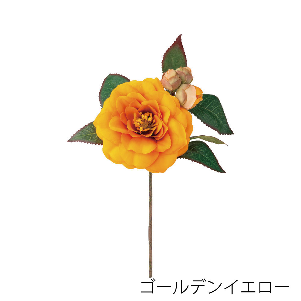 P9829-27　椿（ゴールデンイエロー）