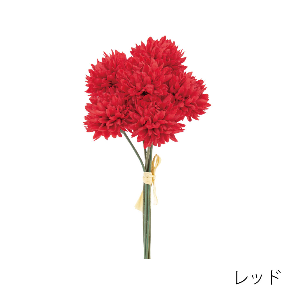 VE4219RE　ポンポンマムバンドル（レッド）