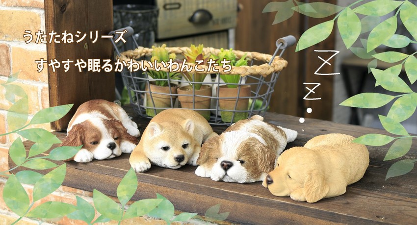 ・新入荷
